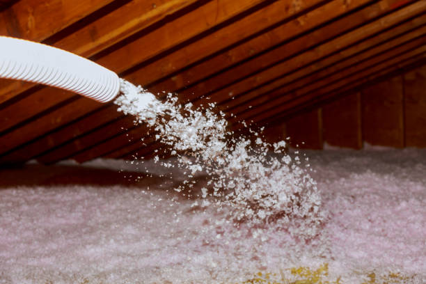 Types of Insulation We Offer in Pomona Park, FL