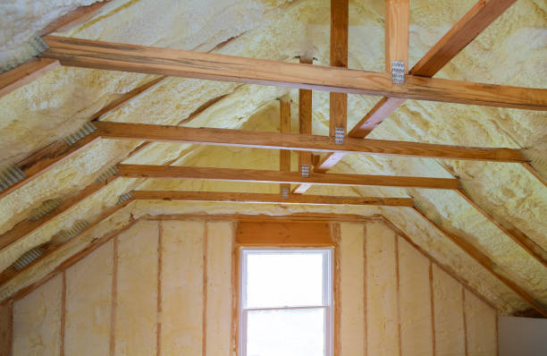 Best Eco-Friendly Insulation in Pomona Park, FL