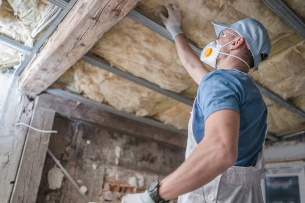 Professional Insulation Contractor in Pomona Park, FL