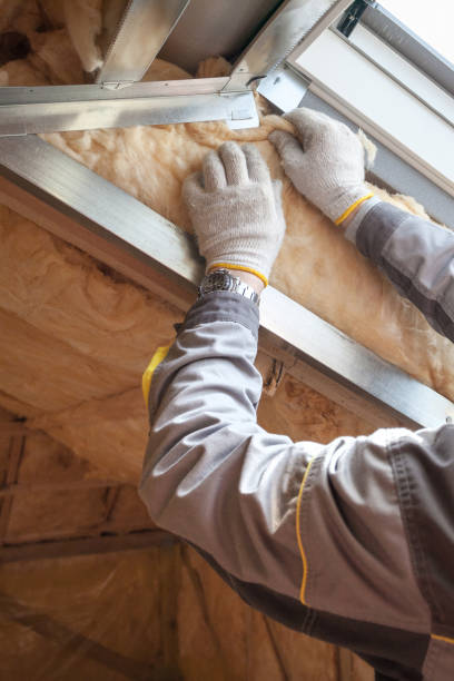 Best Eco-Friendly Insulation in Pomona Park, FL