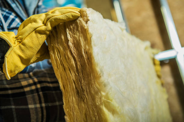 Best Commercial Insulation in Pomona Park, FL